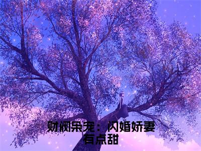 简漾陆易琛无弹窗（财阀枭宠：闪婚娇妻有点甜）全文免费阅读无弹窗大结局_（简漾陆易琛无弹窗）财阀枭宠：闪婚娇妻有点甜无弹窗最新章节列表笔趣阁