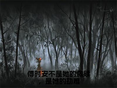 江雨岚傅时安小说全文免费阅读（傅时安不是她的救赎，是她的劫难）全文免费傅时安不是她的救赎，是她的劫难小说无弹窗大结局_傅时安不是她的救赎，是她的劫难读最新章节列表_笔趣阁（江雨岚傅时安小说）