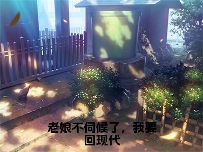 老娘不伺候了，我要回现代（夏如雪秦暮风）全文免费阅读无弹窗-夏如雪秦暮风小说完整版在线阅读