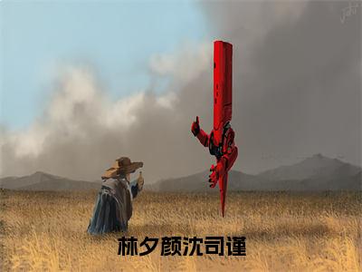 林夕颜沈司谨（沈司谨林夕颜）全文免费阅读无弹窗大结局_沈司谨林夕颜最新章节列表