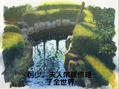 南向婉厉寒风（厉少，夫人带球惊艳了全世界最新全章节大结局）全文阅读-南向婉厉寒风厉少，夫人带球惊艳了全世界在线小说免费阅读