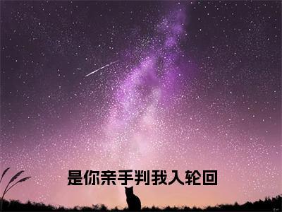 是你亲手判我入轮回 在线阅读（笙笛薛云风）全文无弹窗大结局_笙笛薛云风全文在线阅读无弹窗