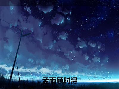 孟雨顾时浔全文小说（顾时浔孟雨）-完结版热文顾时浔孟雨（孟雨顾时浔）小说免费阅读