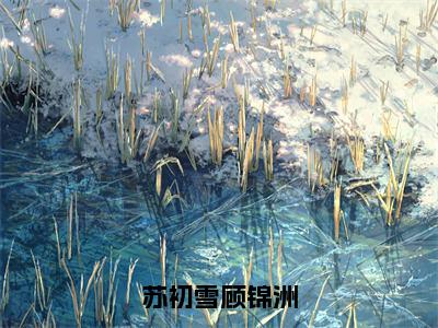 小说苏初雪顾锦洲免费阅读-（顾锦洲苏初雪）全文无弹窗阅读