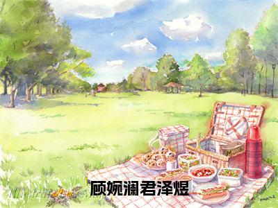 顾婉澜君泽煜已完结小说全集阅读（君泽煜顾婉澜完整版大结局）顾婉澜君泽煜小说全文阅读笔趣阁