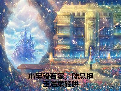 《小宝没有家，陆总抱走温柔轻哄完整小说》陆景淮苏瑾时完结版全章节阅读