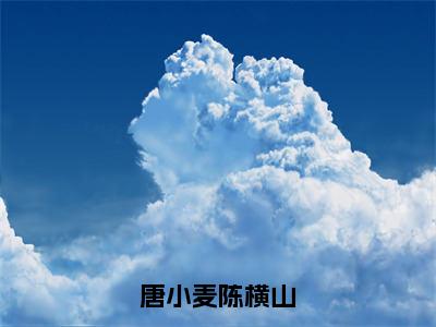 陈横山唐小麦小说（唐小麦陈横山）全文免费阅读无弹窗大结局_唐小麦陈横山小说最新章节_笔趣阁（陈横山唐小麦）