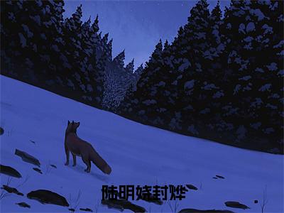 封烨陆明娆（陆明娆封烨）在线阅读的小说完整版-陆明娆封烨（封烨陆明娆）小说免费阅读