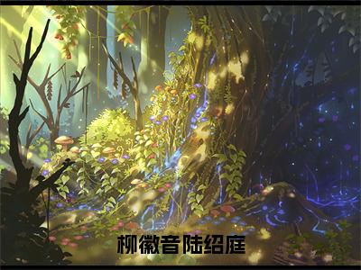 （陆绍庭柳徽音）柳徽音陆绍庭小说全文免费_（陆绍庭柳徽音）最新章节列表笔趣阁