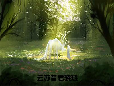 君骁琏云苏音小说（云苏音君骁琏）免费阅读-云苏音君骁琏（君骁琏云苏音）全章节最新阅读