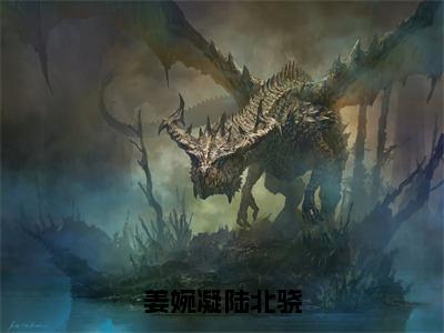 2023年精选热门姜婉凝陆北骁全文无删减版在线阅读