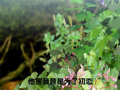 他害我竟是为了初恋（孟安然温奕迟）全章节完整版免费小说_他害我竟是为了初恋最新章节在线阅读_笔趣阁