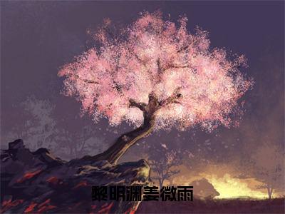 黎明渊姜微雨（姜微雨黎明渊）小说全文免费阅读正版无弹窗，黎明渊姜微雨免费阅读