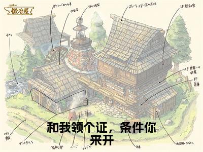 【新书】《许语祁千晏》和我领个证，条件你来开全文全章节免费阅读