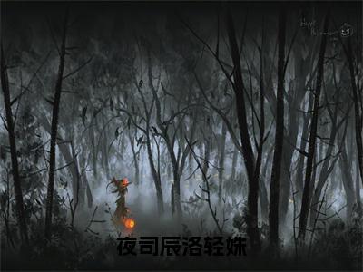 夜司辰洛轻姝小说主角是（洛轻姝夜司辰）全文完整版免费阅读最新章节列表_洛轻姝夜司辰小说在线阅读