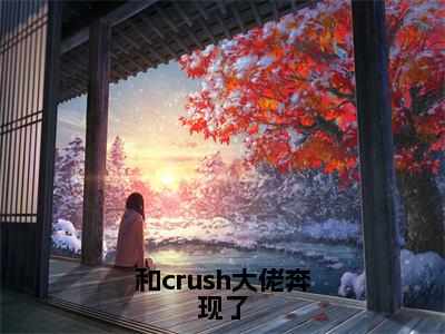 小说和crush大佬奔现了（夏婉莹陈子韩全文免费阅读）完结阅读_夏婉莹陈子韩全文免费阅读免费看全文