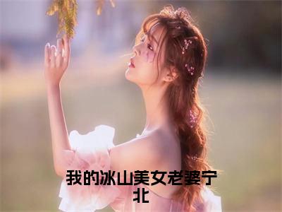 宁北（我的冰山美女老婆宁北）全文免费宁北读无弹窗大结局_(宁北：我的冰山美女老婆宁北）免费宁北读全文最新章节列表_笔趣阁（宁北）