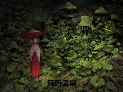 孟棠顾珩的小说免费阅读（顾珩孟棠小说免费阅读）全文免费阅读大结局-顾珩孟棠热门榜单好书推荐