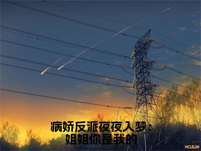 沈夏（病娇反派夜夜入梦：姐姐你是我的）全文免费阅读无弹窗大结局_（沈夏全文免费阅读无弹窗）病娇反派夜夜入梦：姐姐你是我的最新章节列表_笔趣阁（沈夏）