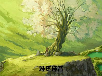 小说《难觅佳音》全文免费阅读无弹窗-难觅佳音（凌小穗毕淮之）小说全文在线赏析_笔趣阁