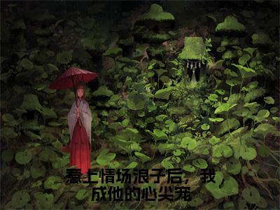 陆怀启姜婉（完整版）热文小说阅读-陆怀启姜婉全文抖音热推