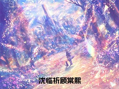 沈临祈顾棠熙小说（沈临祈顾棠熙）全文免费阅读无弹窗_沈临祈顾棠熙小说_笔趣阁