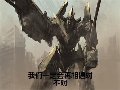 （彭烟萝岑云飞小说完整版）我们一定会再相遇对不对全文免费阅读-（我们一定会再相遇对不对）彭烟萝岑云飞小说最新章节列表