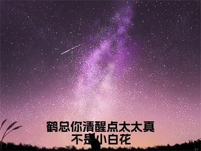 鹤闻殊温皎今日阅读更新，鹤总你清醒点太太真不是小白花全文在线看