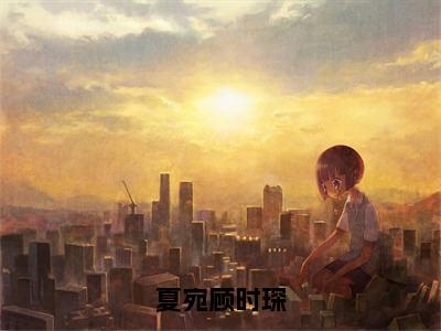 顾时琛夏宛（完整版）热文小说阅读-顾时琛夏宛全文抖音热推