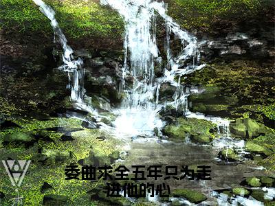 委曲求全五年只为走进他的心（陆西辞沈温杳全文免费大结局）在线阅读-陆西辞沈温杳全文无删减免费赏析