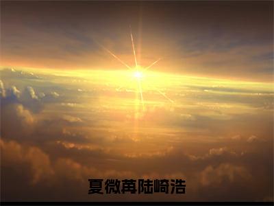 陆崎浩夏微苒（夏微苒陆崎浩）免费阅读无弹窗大结局-夏微苒陆崎浩（最新全章节大结局）全文阅读