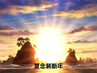 夏念裴斯年（夏念裴斯年）全文免费阅读无弹窗大结局_夏念裴斯年全文免费阅读（夏念裴斯年）最新章节列表