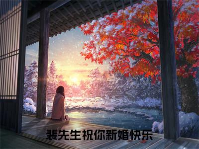 黎悠然裴言澈精选热门小说 裴先生祝你新婚快乐已完结全集大结局