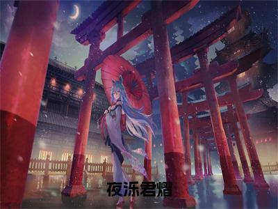 夜泺君熠（夜泺君熠）最火小说全文-（夜泺君熠）夜泺君熠小说完整版免费阅读