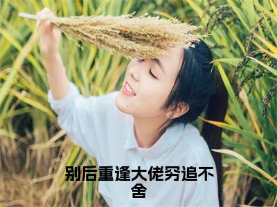 秦如烟陆景琛全文推荐阅读，别后重逢大佬穷追不舍热门榜单免费新书阅读