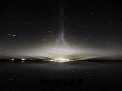 苏南星陆北渊（陆北渊苏南星）全文免费阅读无弹窗大结局_陆北渊苏南星:苏南星陆北渊最新章节列表_笔趣阁