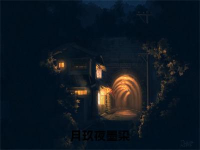 月玖夜墨染全网热搜（夜墨染月玖）是什么小说,月玖夜墨染免费阅读无弹窗