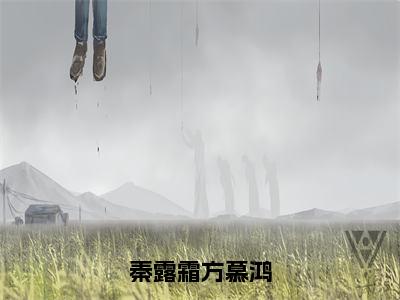 秦露霜方慕鸿（秦露霜方慕鸿）小说免费在线阅读_秦露霜方慕鸿全本免费小说阅读（秦露霜方慕鸿）