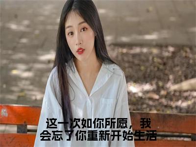 陈婉宁秦观赫小说全文免费阅读大结局-这一次如你所愿，我会忘了你重新开始生活最新章节列表免费阅读