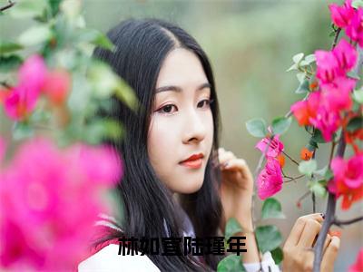 林如宜陆瑾年（陆瑾年林如宜）小说最新章节在线阅读-林如宜陆瑾年（陆瑾年林如宜）已完结全集大结局