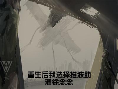 林瑜徐念念(重生后我选择推波助澜徐念念)全文免费阅读无弹窗大结局_林瑜徐念念小说全文大结局