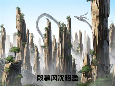 段慕风沈昭盈全集章节小说免费阅读完整版（段慕风沈昭盈）-段慕风沈昭盈小说免费阅读