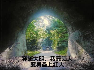 小说《穿越大明，我靠喷人变身圣上红人》全文免费阅读无弹窗-顾晨陈宝船小说全文在线赏析