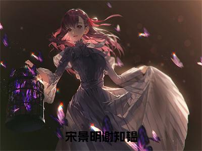 宋景明谢知韫无广告免费阅读-小说谢知韫，宋景明最后结局如何