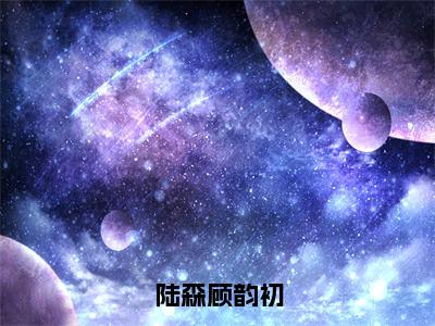 陆森顾韵初（顾韵初陆森）小说最新章节在线阅读-陆森顾韵初（顾韵初陆森）已完结全集大结局