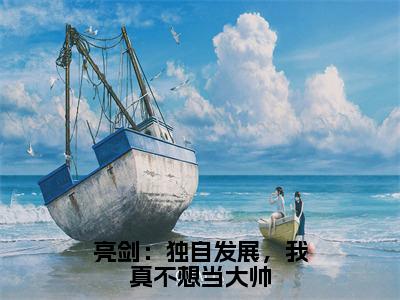 亮剑：独自发展，我真不想当大帅（方羽）全文免费阅读无弹窗完整版，（亮剑：独自发展，我真不想当大帅）免费阅读全文最新章节列表_笔趣阁