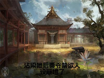 沾染她后秦爷禁欲人设崩塌了（秦砚之盛玥）免费阅读无弹窗大结局_沾染她后秦爷禁欲人设崩塌了小说（秦砚之盛玥）免费阅读最新章节列表