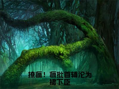 徐北笙（撩疯！疯批首辅沦为裙下臣）全文免费阅读无弹窗大结局_（撩疯！疯批首辅沦为裙下臣小说免费阅读）_笔趣阁