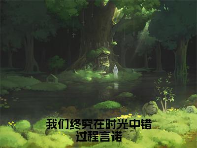 宋云词程言诺（我们终究在时光中错过程言诺）小说全文-我们终究在时光中错过程言诺小说免费阅读大结局