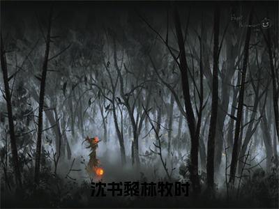 沈书黎林牧时（林牧时沈书黎）小说全文免费阅读正版无弹窗，沈书黎林牧时免费阅读